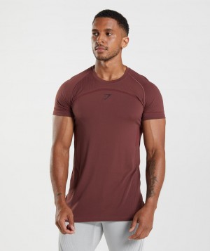 Gymshark 315 Seamless T-Shirt Herren Rosa Braun | FXH-205963