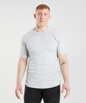Gymshark 315 T-Shirt Herren Hellgrau | YST-831547