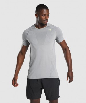 Gymshark Apex Perform T-Shirt Herren Grau | YSG-204386