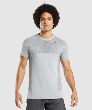 Gymshark Apex Seamless T-Shirt Herren Hellgrau Schwarz Grau | LEH-254681