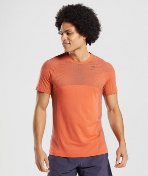 Gymshark Apex Seamless T-Shirt Herren Orange Schwarz Grau | SHJ-124570