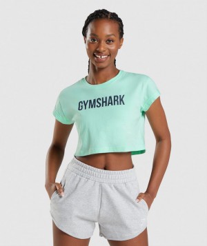 Gymshark Apollo Top Kurz Geschnittene Oberteile Damen Blau | ZFN-824603
