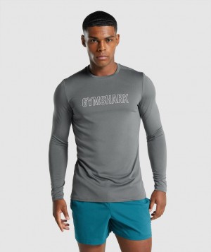 Gymshark Arrival Graphic Langarm Shirts Herren Grau | SAO-532019