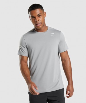 Gymshark Arrival Regular Fit T-Shirt Herren Grau | OHV-076914