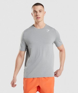 Gymshark Arrival Seamless T-Shirt Herren Grau | ZRT-210576