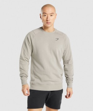 Gymshark Bold Crew Pullover Herren Grau | HVF-165489