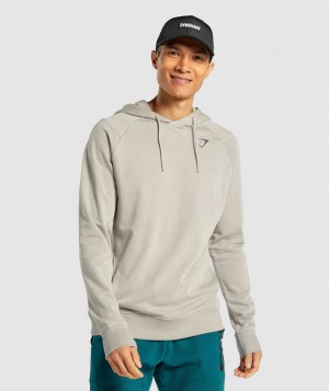 Gymshark Bold Hoodie Herren Grau | KIG-294503