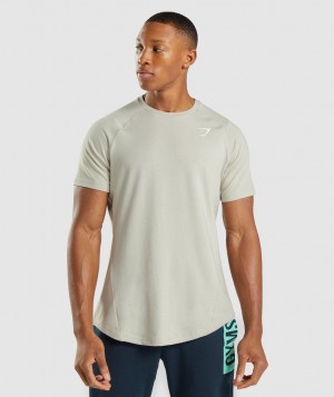 Gymshark Bold T-Shirt Herren Grau | IOZ-435978