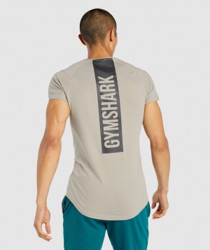 Gymshark Bold T-Shirt Herren Grau | KNA-893416