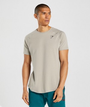 Gymshark Bold T-Shirt Herren Grau | MAI-158094