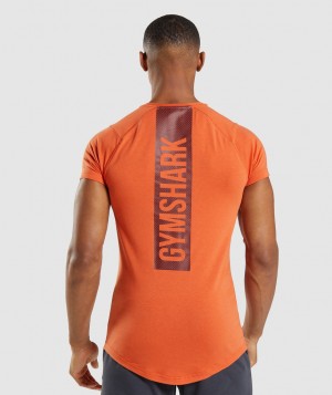 Gymshark Bold T-Shirt Herren Orange | FYB-624813