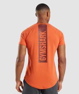 Gymshark Bold T-Shirt Herren Orange | ITL-768502