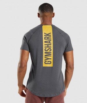 Gymshark Bold T-Shirt Herren Schwarz Grau | CTF-568192