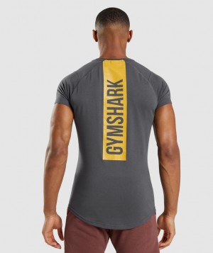 Gymshark Bold T-Shirt Herren Schwarz Grau | KCS-459281