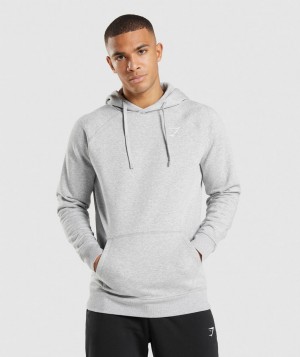 Gymshark Crest Hoodie Herren Hellgrau | EBJ-706245