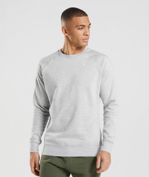 Gymshark Crest Sweatshirt Pullover Herren Hellgrau | UCO-103275