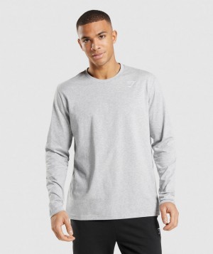 Gymshark Crest T-Shirt Herren Hellgrau | OQC-941687
