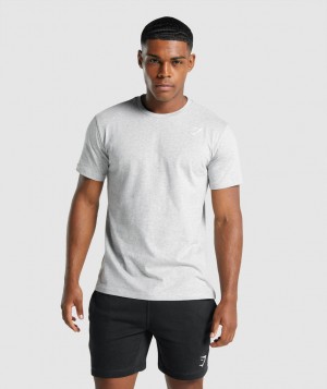 Gymshark Crest T-Shirt Herren Hellgrau | QEY-291730