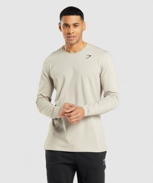 Gymshark Essential- Pebble Grey T-Shirt Herren Grau | OZP-061453