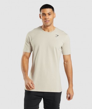 Gymshark Essential T-Shirt Herren Grau | RGI-073589