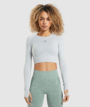 Gymshark Flex Sports Top Kurz Geschnittene Oberteile Damen Hellgrau | MGA-482170