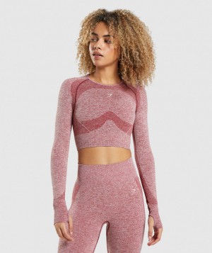 Gymshark Flex Sports Top Kurz Geschnittene Oberteile Damen Bordeaux | DTO-406395