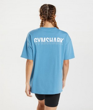 Gymshark Fraction Oversized T-Shirt Damen Blau | AVF-802546