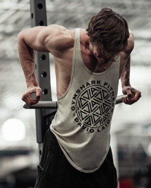 Gymshark GS x David Laid Stringer Herren Grau | AME-812375
