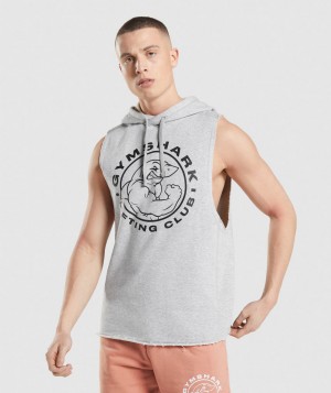 Gymshark Legacy Arm Hoodie Herren Hellgrau | DKX-293647