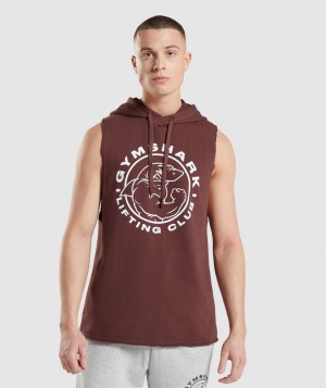 Gymshark Legacy Arm Hoodie Herren Rosa Braun | FNU-619208