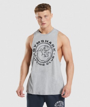 Gymshark Legacy Arm Muskelshirt Herren Hellgrau | DEU-176042