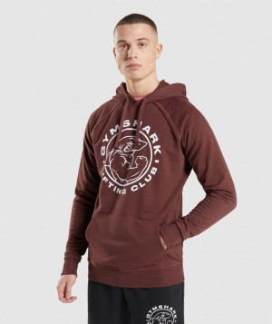 Gymshark Legacy Hoodie Herren Rosa Braun | GKF-890372