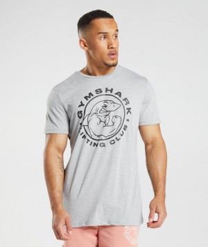 Gymshark Legacy T-Shirt Herren Hellgrau | FLN-124396