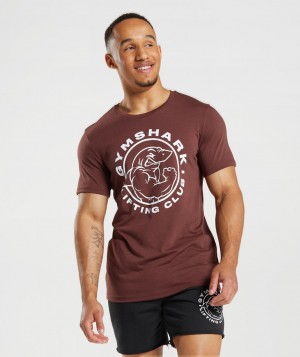 Gymshark Legacy T-Shirt Herren Rosa Braun | YDB-327681