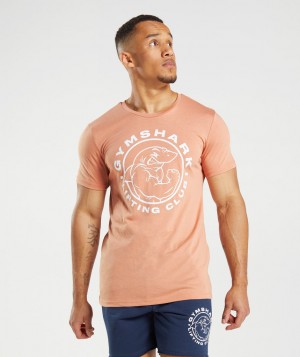 Gymshark Legacy T-Shirt Herren Rosa | VTI-586017