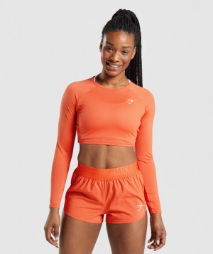 Gymshark Training Top Kurz Geschnittene Oberteile Damen Orange | GRP-706213