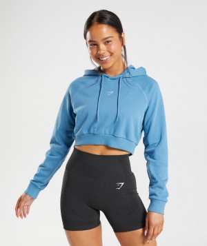 Gymshark Trainingped Pullover Damen Blau | CDY-905176