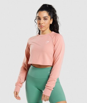 Gymshark Trainingped Sweater Pullover Damen Rosa | XFJ-365781