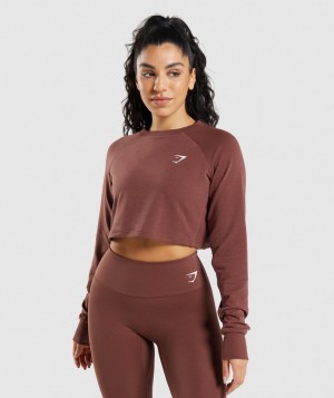 Gymshark Trainingped Sweater Pullover Damen Rosa Braun | GRD-506283