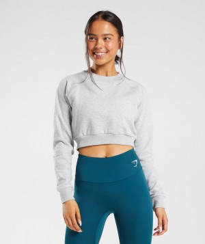Gymshark Trainingped Sweater Pullover Damen Hellgrau | VWE-970132