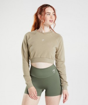 Gymshark Trainingped Sweater Pullover Damen Braun | COB-961523