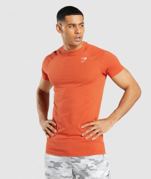 Gymshark Vital Light Seamless T-Shirt Herren Orange | QBC-194382