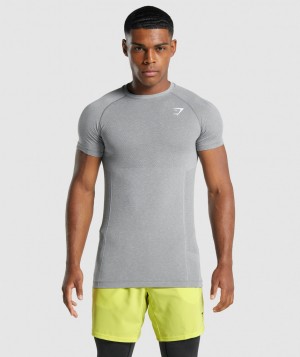 Gymshark Vital Light Seamless T-Shirt Herren Grau | UFV-263815