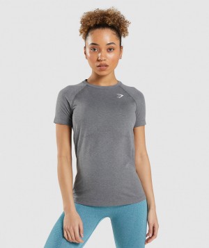 Gymshark Vital Seamless 2.0 Light T-Shirt Damen Grau | MYI-901843