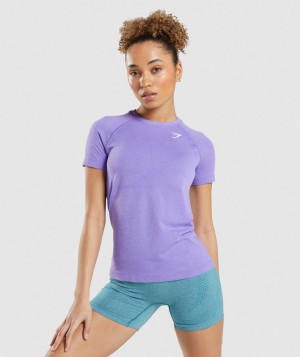 Gymshark Vital Seamless 2.0 Light T-Shirt Damen Helllila | NCJ-841230