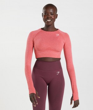Gymshark Vital Seamless 2.0 Top Kurz Geschnittene Oberteile Damen Rot | ZUJ-605471