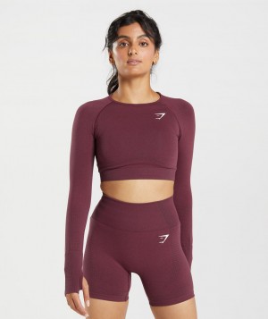 Gymshark Vital Seamless 2.0 Top Kurz Geschnittene Oberteile Damen Bordeaux | DPB-983527