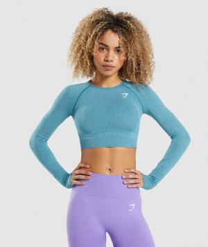 Gymshark Vital Seamless 2.0 Top Kurz Geschnittene Oberteile Damen Türkis | QCO-847059