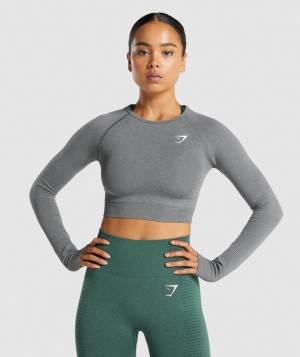 Gymshark Vital Seamless 2.0 Top Kurz Geschnittene Oberteile Damen Grau | SEM-862019