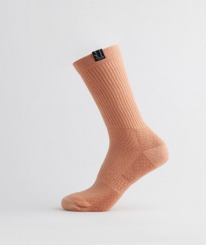 Gymshark Whitney Tab Crew 1pk Socken Herren Beige | GCR-742136